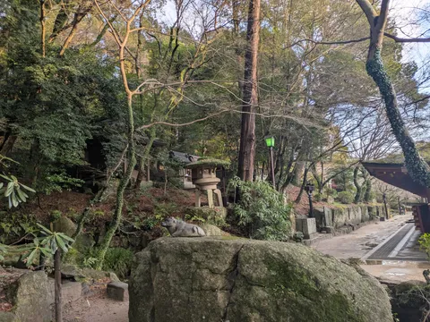 静寂の古道、緑の灯りが誘う