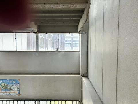 日常の断片、鳥の訪問