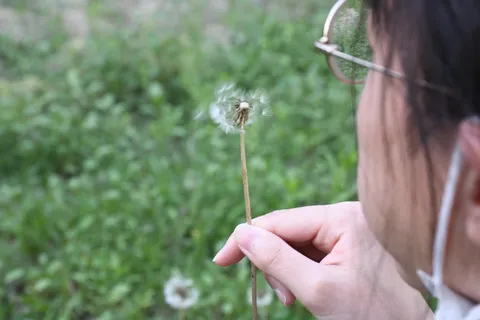 風と綿毛の約束