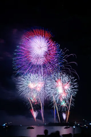 夜空を染める花火の海