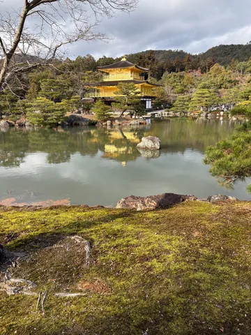 金色の輝き、静寂の水鏡
