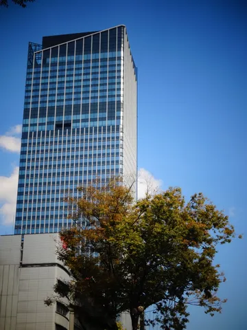 高層と木漏れ日の青空