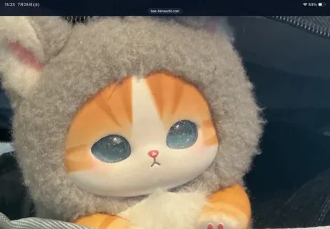 もふもふ毛糸の猫ちゃん、おめめキラキラ