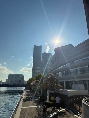 都会の風と光の散歩道