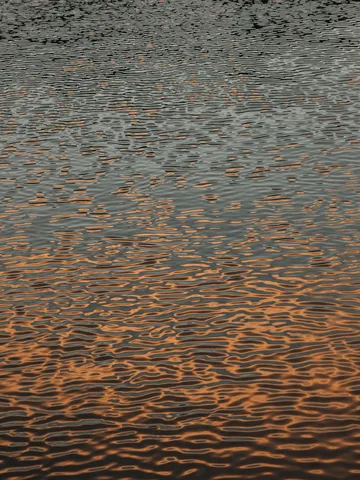水面の黄金色アート