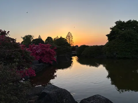 夕暮れの池と鮮やかな花々