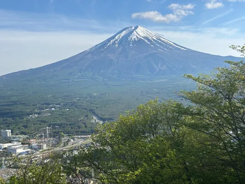 緑と青空、そして富士山