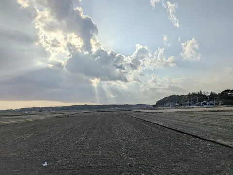 光芒が導く、静かな田園風景