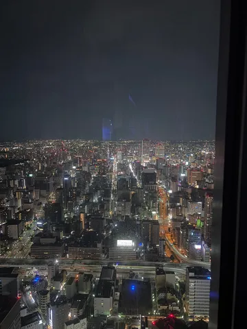 光の海に沈む夜景