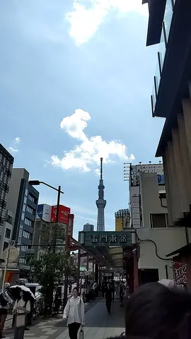見上げればスカイツリー