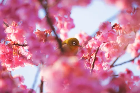 花の間の小さな光景