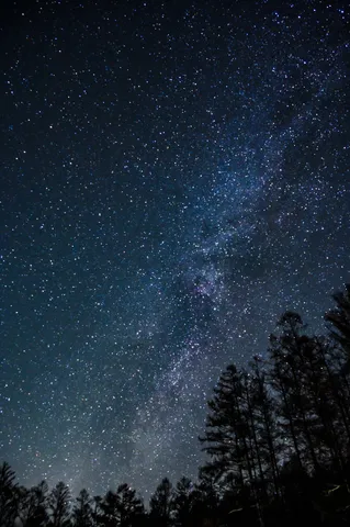 星降る森の夜