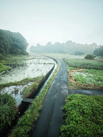 雨上がりの田園路