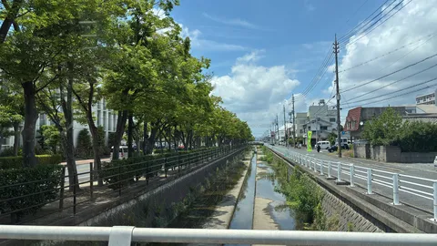 青空と緑陰、静かな水路