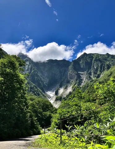 深緑と山肌のコントラスト