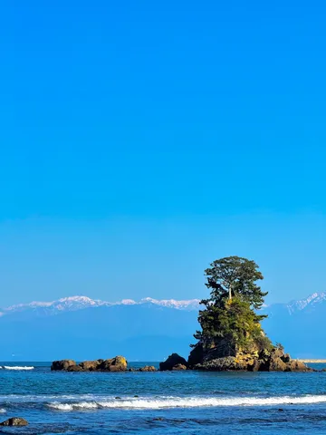 孤高の緑と遠い雪山