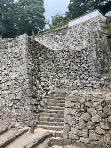 古城の石段と苔むす石垣