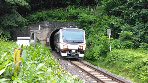 トンネルから現れる緑の使者