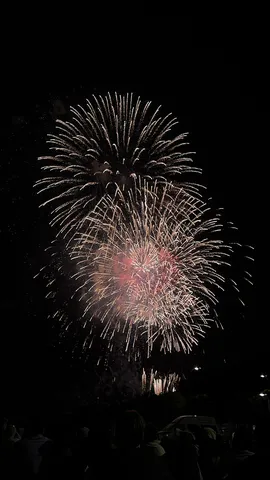 夜空に咲く華