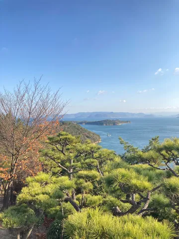 海へと続く緑の小道