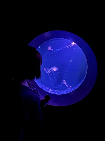 静寂の海を漂う光