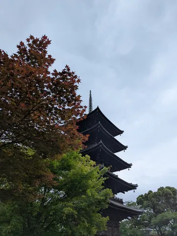 紅葉と五重塔のコントラスト