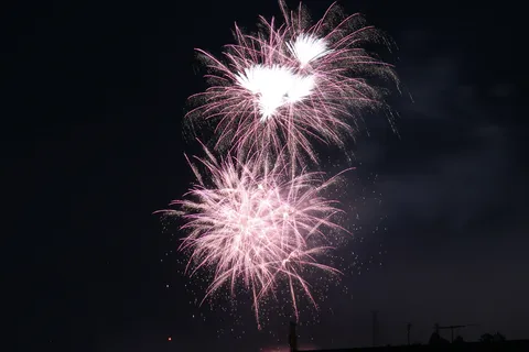 夜空に舞うピンクの花火