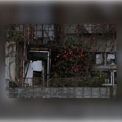 鉄骨と椿の侘び寂び