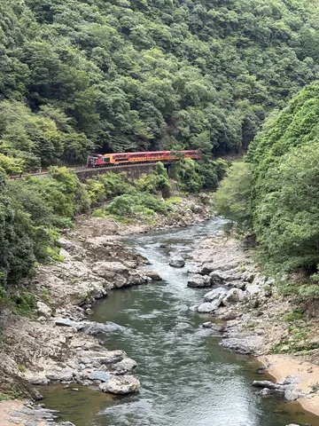 渓谷を彩る列車の影
