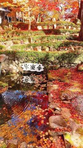 紅葉と水鏡、秋の静寂