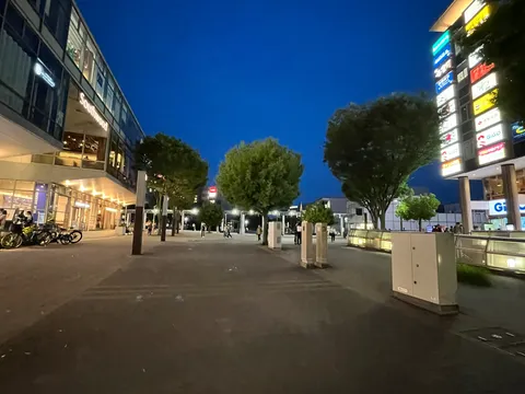 夕暮れ、都会のオアシス