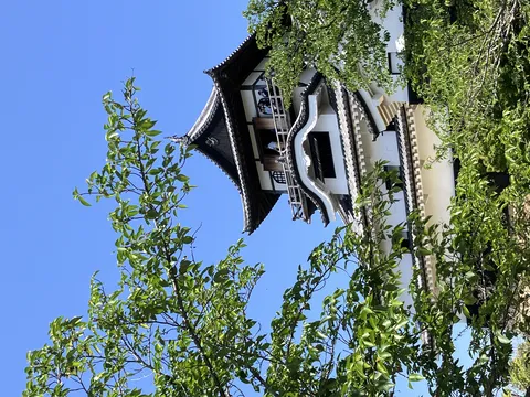 新緑に隠れる歴史ある天守閣
