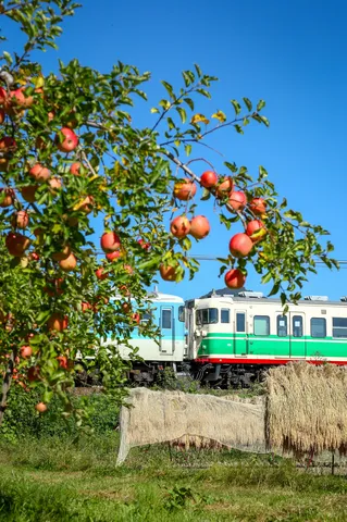 青空と果実の列車風景