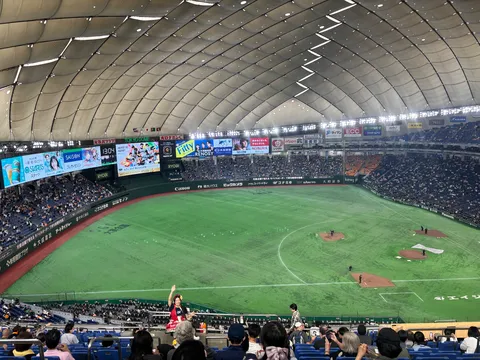 ドームに響く、歓声と緑のグラウンド