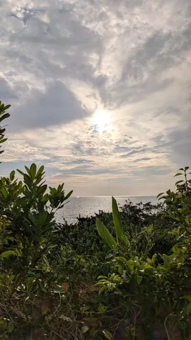 海辺の光と影のささやき