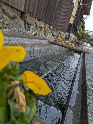 竹筒からの水の流れる風景