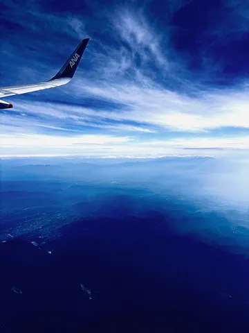 雲海の上を飛ぶANA機