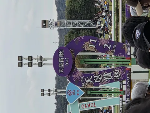 巨大な蹄鉄が告げる未来の祭典