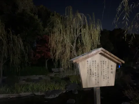 夜の庭園、静寂の案内板