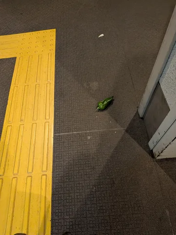 線の間に潜む静寂