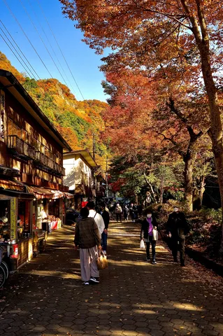 紅葉の道にこぼれる日差し