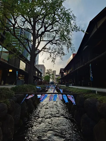 趣ある小川を泳ぐ鯉のぼり