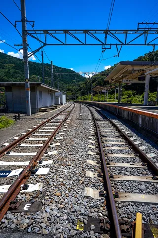 緑映える静かな鉄道風景