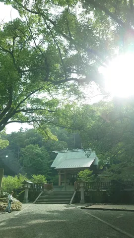 木漏れ日と静寂の参道