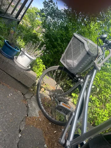 静かな午後の自転車