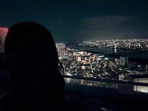 都市の輝きに包まれる夜