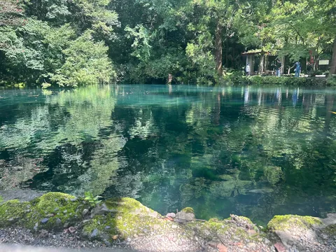 青緑の静かな泉に映る木蔭