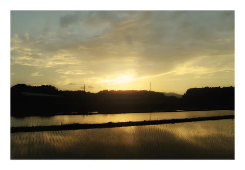 夕暮れの水田に映る空