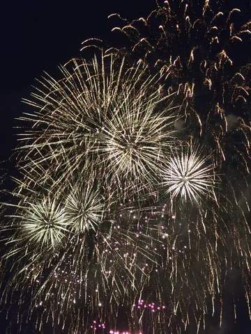 夜空に咲く金の花火