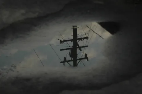 水たまりに映る電柱の影